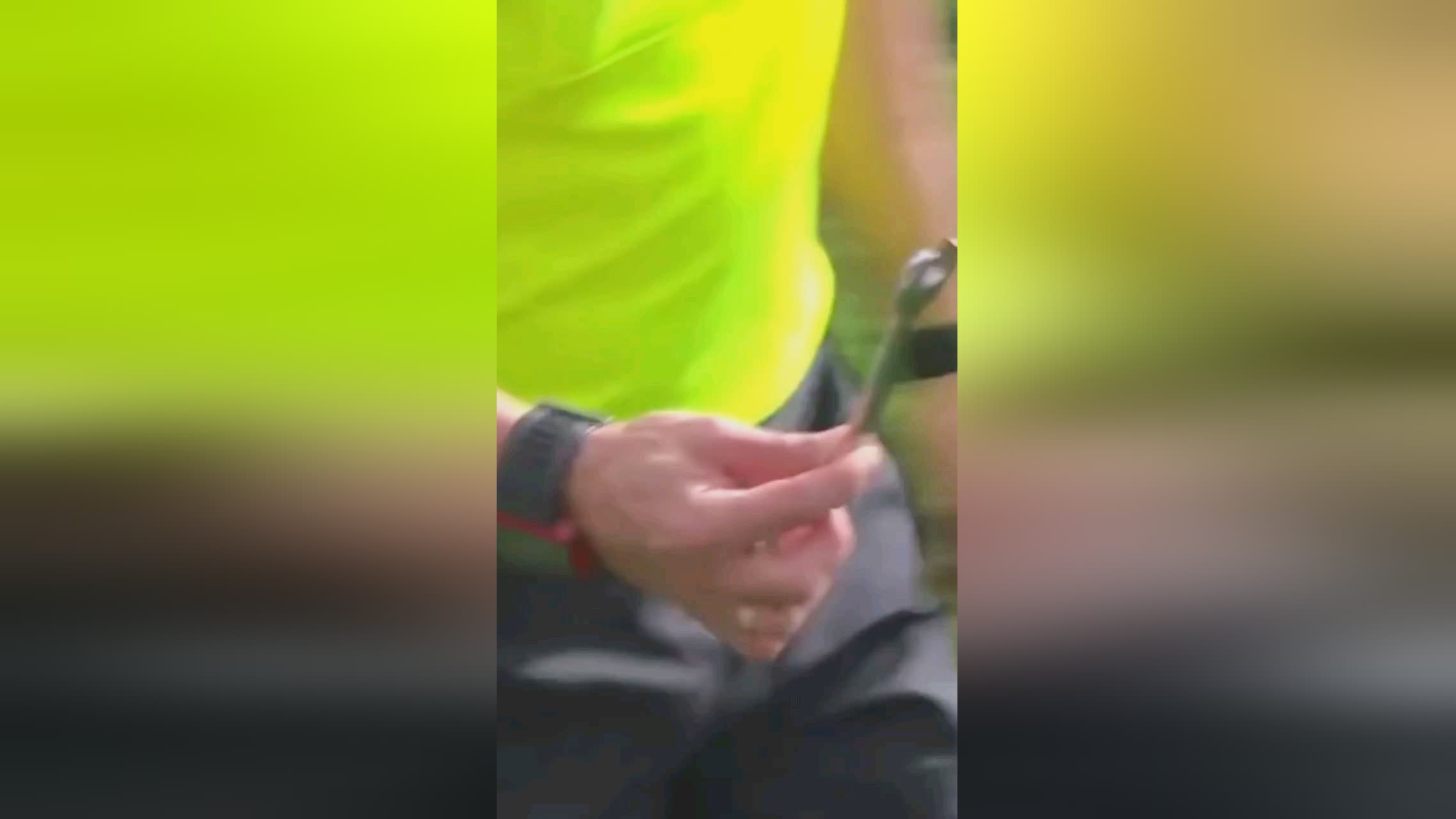 能够在花